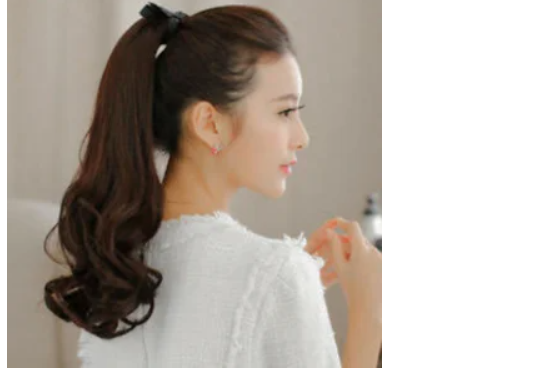 Formal Pony Tail